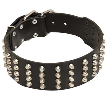 2 Inches Leather   Collie Collar Extra Wide Studded