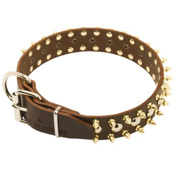 Leather Collie Collar with Rust-proof Decoration
