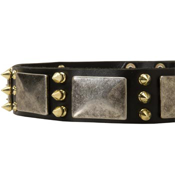 Stylish Leather Dog Collar for Collie