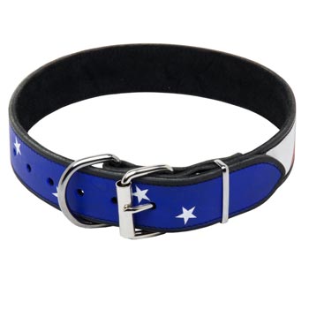 Collie Leather Collar With American  Flag Painting