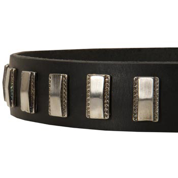 Stylish Leather Collar with Vintage Plates for Collie