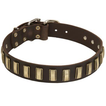 Leather Collie Collar Designer for Walking in Style