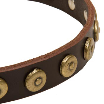 Collie Collar with Stylish Circles