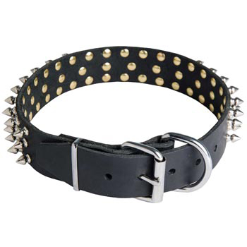 Spiked Buckle Collar for Collie