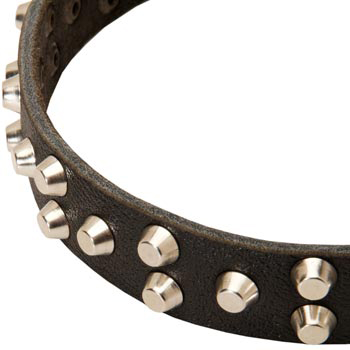 Leather Collie Collar Durable Stud Decorated