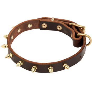 Leather Collie Collar with Brass Spikes