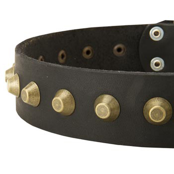 Leather Dog Collar with Brass Pyramids for Collie