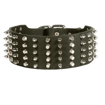Collie Spiked Studded  Leather Collar