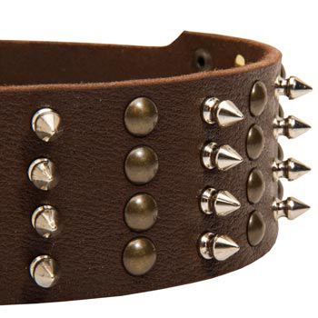 Collie Leather Collar with Rust-proof Fittings