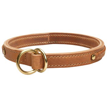  2 Ply Leather Choke Collar for Collie