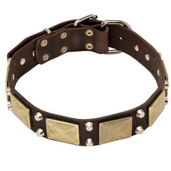 Nickel Studded Leather BRED-NAME Collar