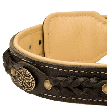  Leather Walking Fashion Collar for Collie