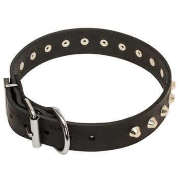 Training Walking Leather Dog Collar with Buckle for Collie