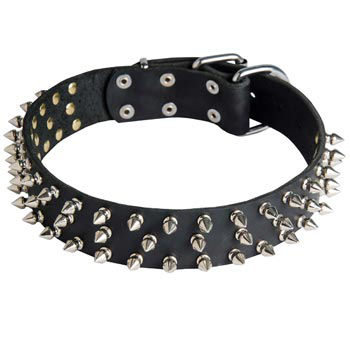 Leather Collie Collar with Spikes