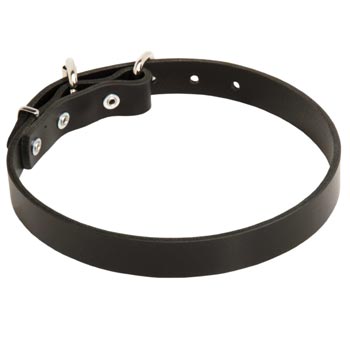 Leather Dog Collar for Collie Training