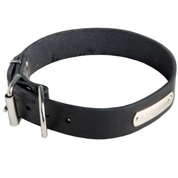 Leather Collie Collar for Identification