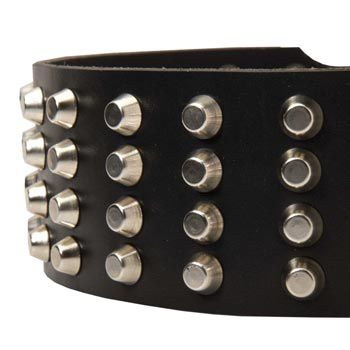 Leather Dog Collar with Studs for   Collie