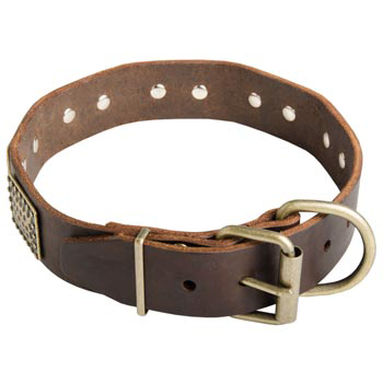 War-Style Leather Collar for Collie