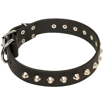 Soft Leather Collie Collar with Nickel Studs