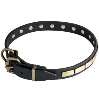 Collie Leather Dog Collar with Brass Buckle 