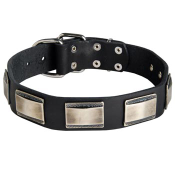 Leather Collie Collar with Solid Nickel Plates