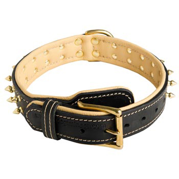 Leather Dog Collar Spiked Adjustable for Collie Walking