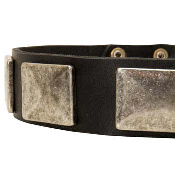 Wide Leather Collie Collar for Walking