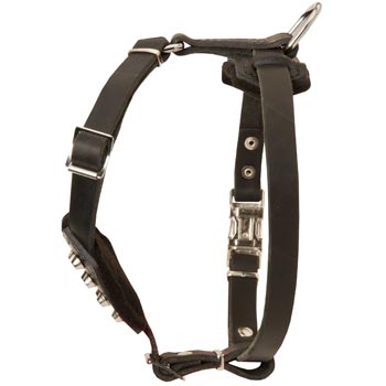 Leather Collie Puppy Harness for Comfy Walking