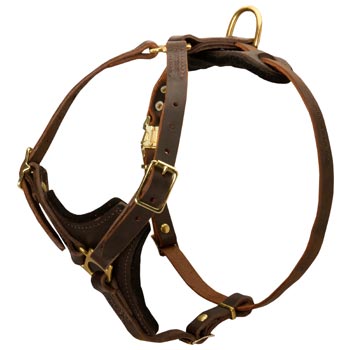 Collie Harness Y-Shaped Brown Leather Easy Adjustable for Best Fit