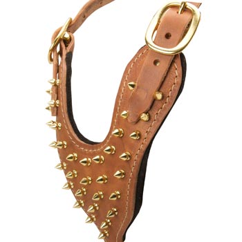 Brass Spiked Leather Collie Harness