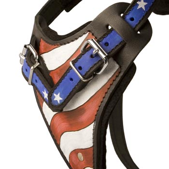 Collie Leather Harness With Hand Painted USA  Chest Plate