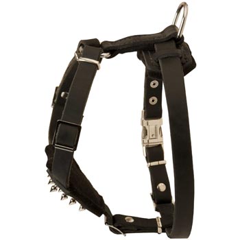 Collie Leather Harness for Puppy Walking and Training