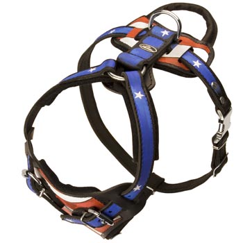 Leather SCollie Harness with Handle Stitched to Back Plate