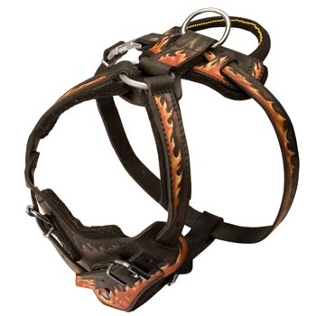 Leather Dog Harness with Handle for Collie Training