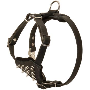 Collie Leather Puppy Harness with Attractive Nickel Decoration