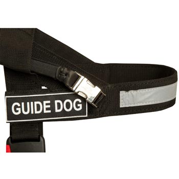 Collie Nylon Assistance Harness with Patches