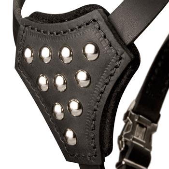 Collie Harness Leather with Studded  Breast Plate