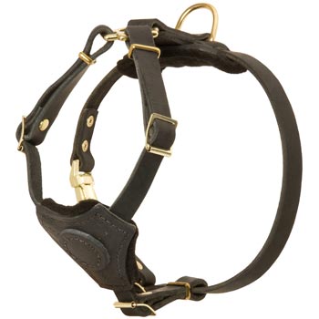 Light Weight Leather Puppy Harness for Collie