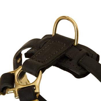 D-ring on Leather Collie Harness for Puppy Training