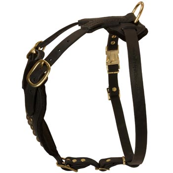 Easy Adjustable Leather Collie Harness