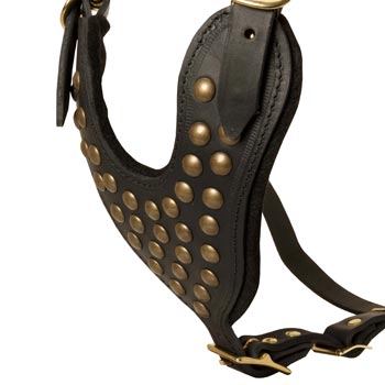 Studded Black Leather CHest Plate for Collie Comfort