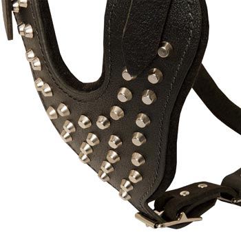 Studded Chest Plate Leather Collie Harness