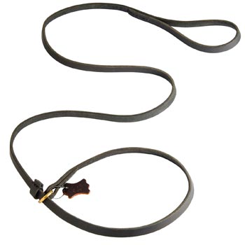 Best Choke Leather Collie Collar and Leash
