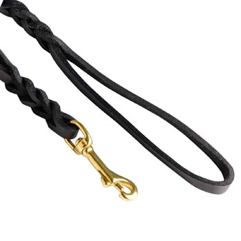 Braided Dog Leash with Snap Hook Easy Connected with Canine Collar for Collie