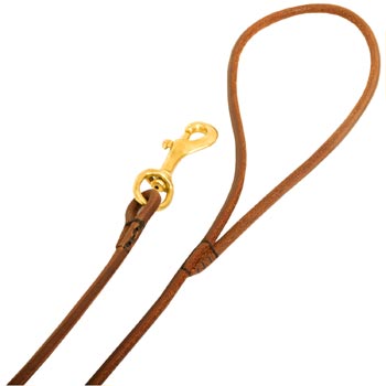 Leather Collie Leash with Comfy Round Hnadle