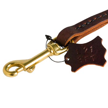 Rustproof Snap Hook for leather Collie Leash