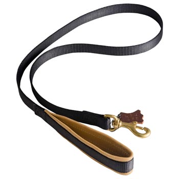 Special Nylon Dog Leash Comfortable to Use for Collie