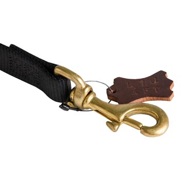 Nylon Collie Leash with Dependably Stitched Brass Snap Hook