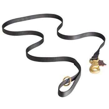 All Weather Nylon Leash for Collie Tracking and Training