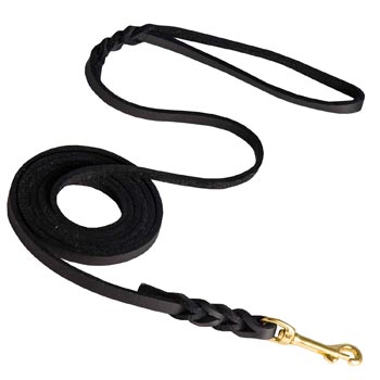 Training Leather Collie Leash with Amazing Braids